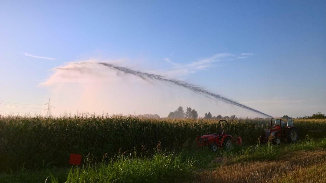 Agriturismo Cipolli E Podo Corte Carlini Mantova Exteriér fotografie