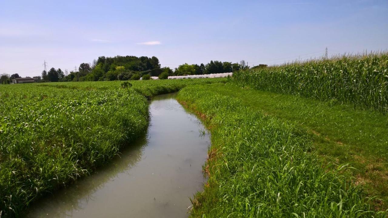 Agriturismo Cipolli E Podo Corte Carlini Mantova Exteriér fotografie