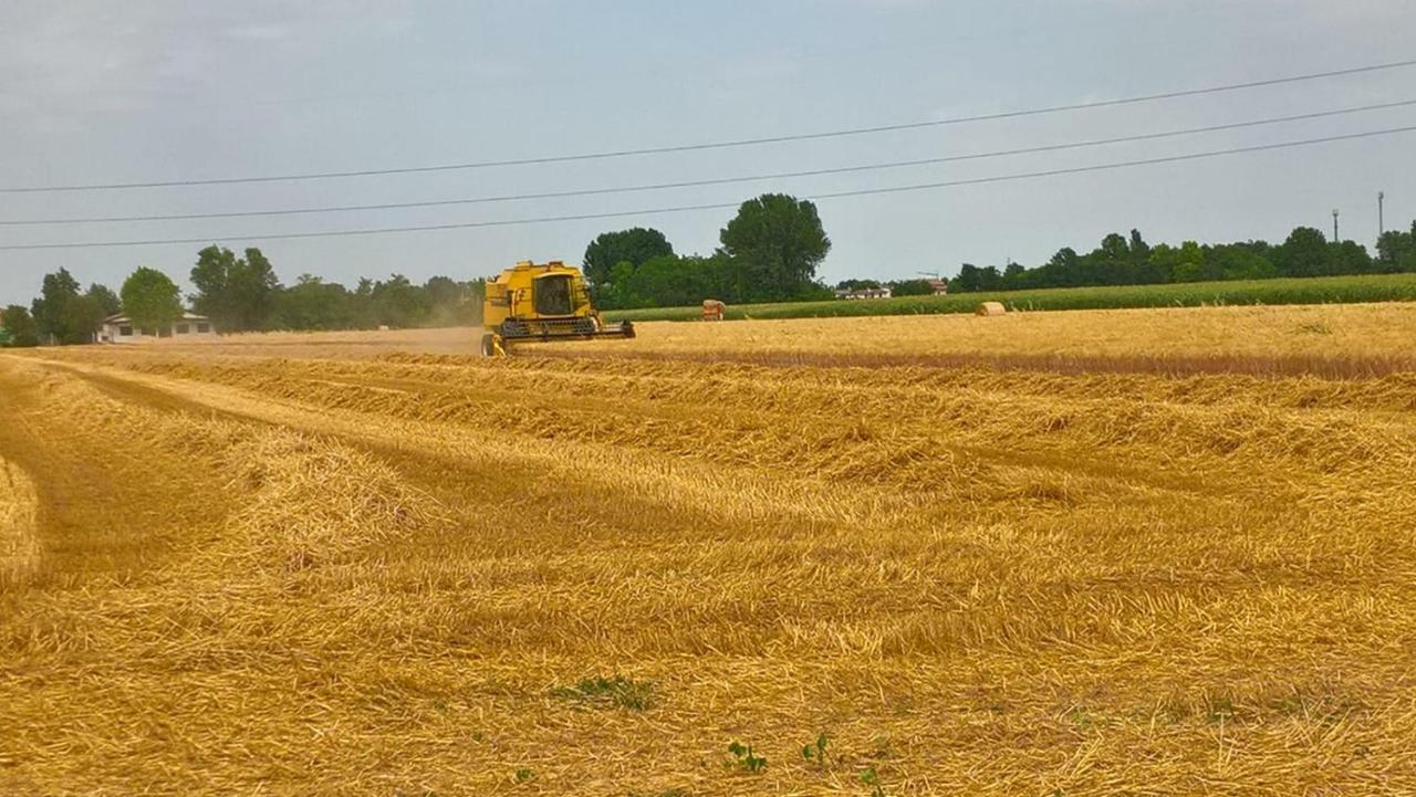 Agriturismo Cipolli E Podo Corte Carlini Mantova Exteriér fotografie